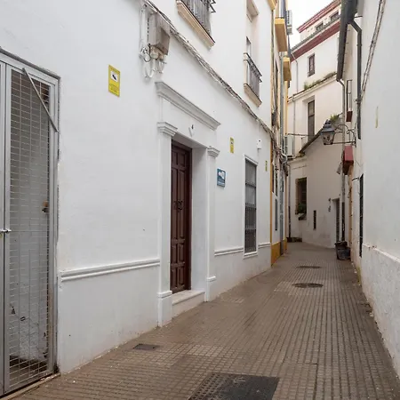 Bhost - Juan De Mena