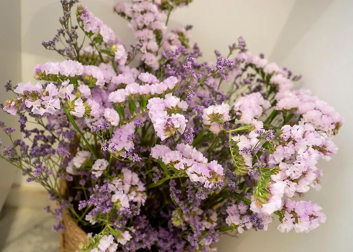 Bhost - Juan De Mena Córdoba