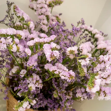 Bhost - Juan De Mena Córdoba