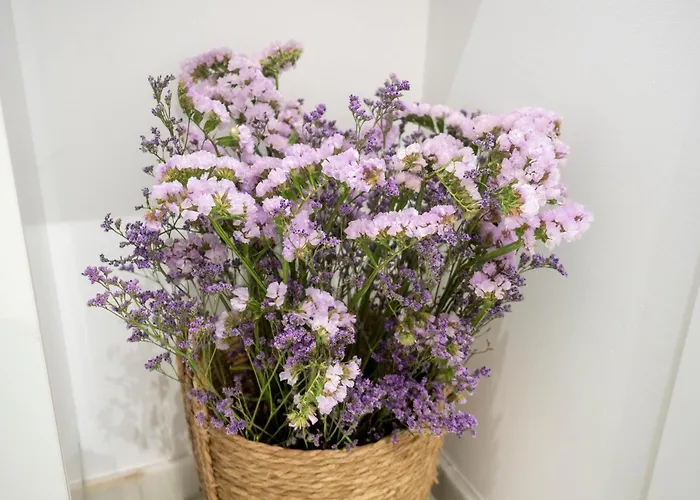 Bhost - Juan De Mena Апартаменты *